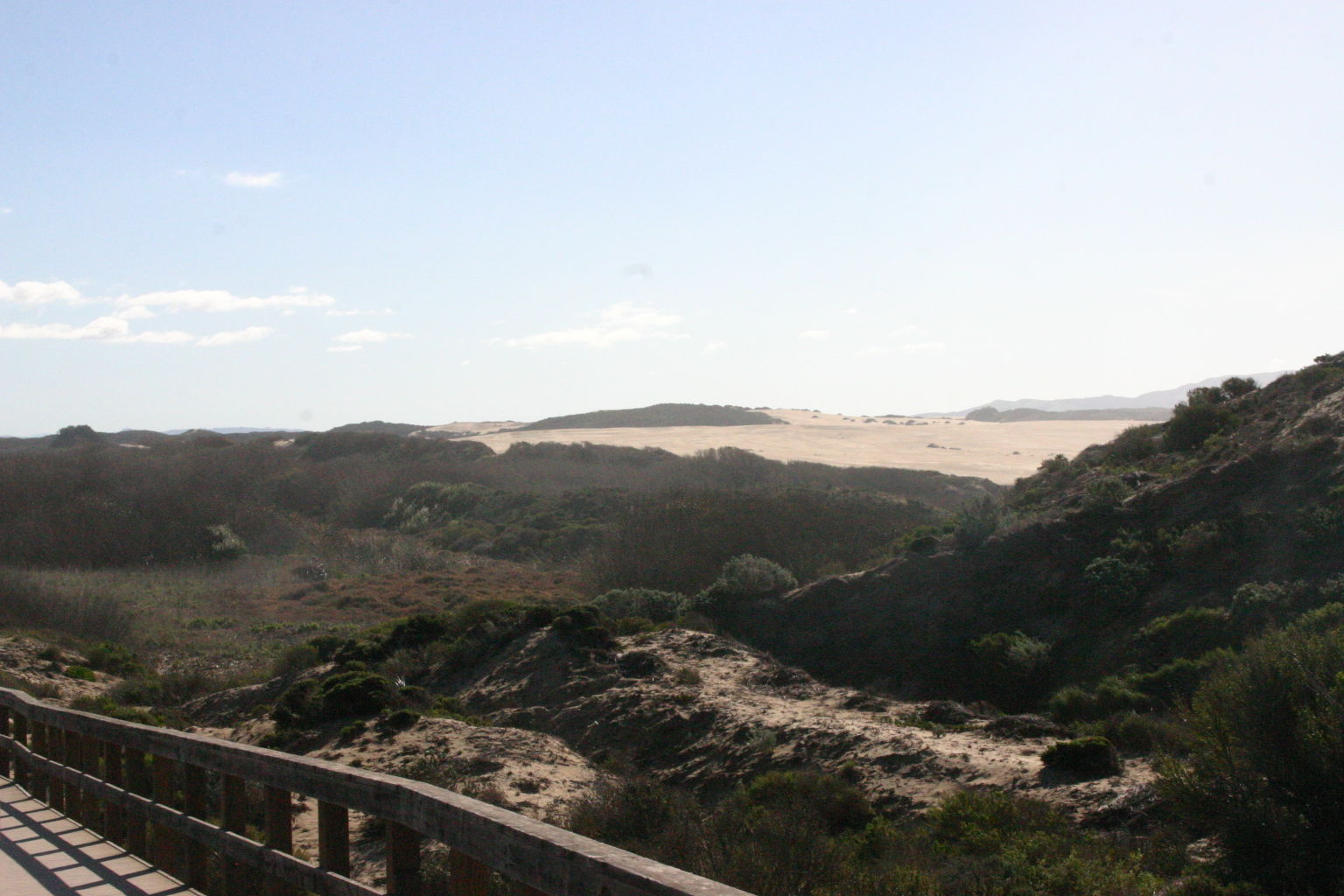 Oso Flaco Boardwalk